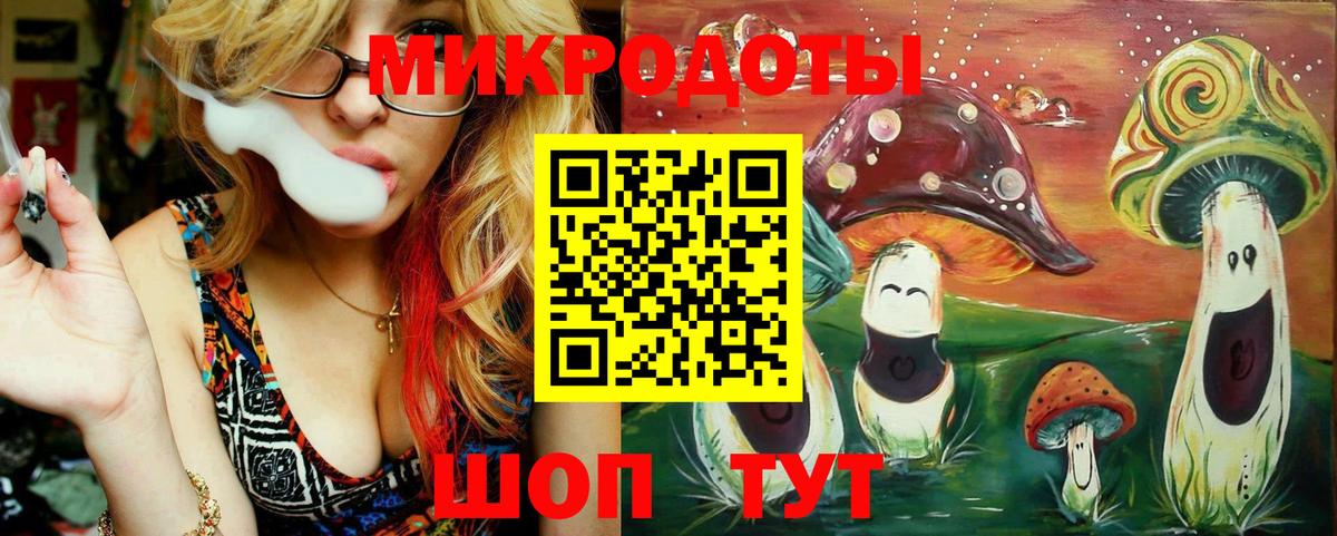 Галлюциногенные грибы Psilocybe Верхняя Салда